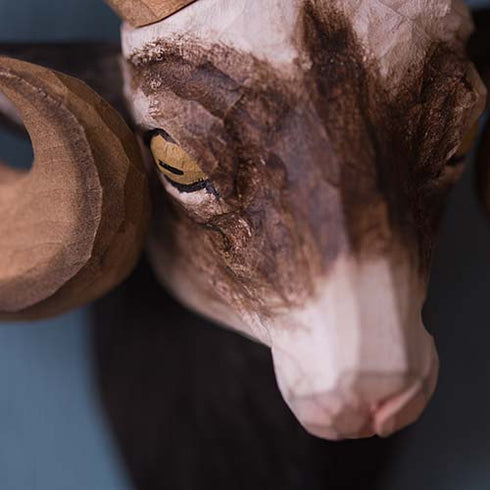 Decohook ripustuskoukku, pässi